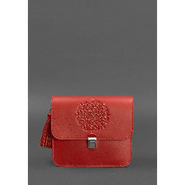 BlankNote Жіноча сумка-сетчел  червона (BN-BAG-3-red)