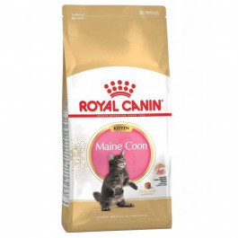 Royal Canin Maine Coon Kitten 4 кг (2558040)
