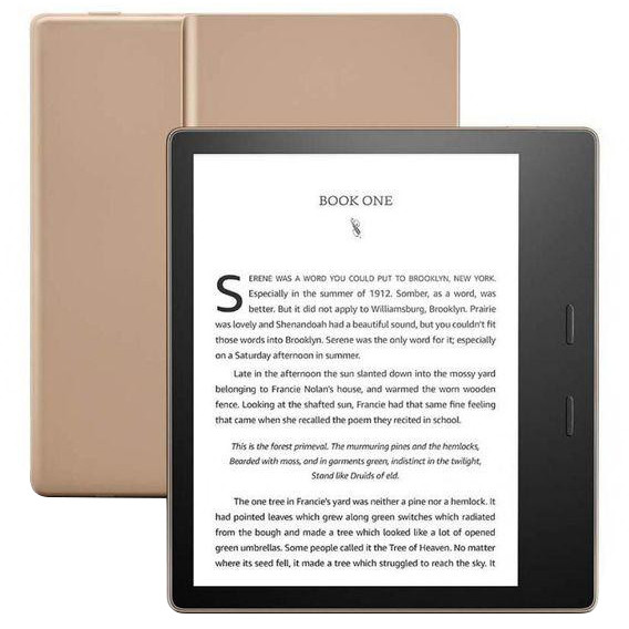 Amazon Kindle Oasis 10th Gen. 32GB Champagne Gold - зображення 1