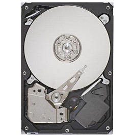 Seagate Barracuda 7200.12 ST3320413AS