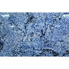  Vivacer Плитка Vivacer Azul Bahia D69074