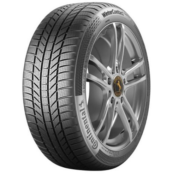 Continental WinterContact TS 870 P (215/65R17 99T) - зображення 1