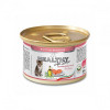 Healthy alldays cat pate’ salmon kitten 200 г (8015912504630) - зображення 1