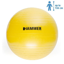 HAMMER Gymnastics Ball 55 cm (66406)