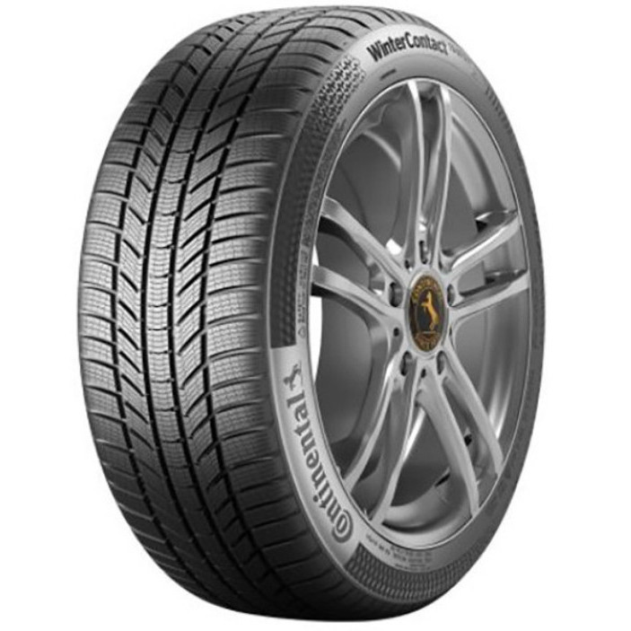 Continental WinterContact TS 870 P (215/65R17 99V) - зображення 1