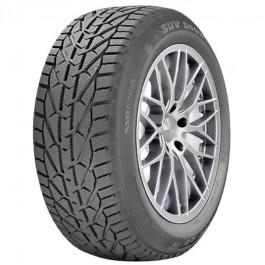   Taurus SUV Winter (255/45R20 105V)