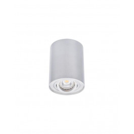 Kanlux Потолочный светильник Bord DLP-50-AL (22550)