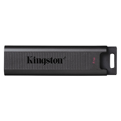 Kingston 1 TB DataTraveler Max USB 3.2 Gen 2 (DTMAX/1TB) - зображення 1