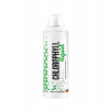 MST Nutrition Chlorophyll Liquid 500 ml /50 servings/ Mint - зображення 1