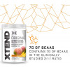 Xtend The Original BCAA 420 g /30 servings/ Mango Madness - зображення 3