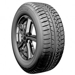 Petlas W651 Snow Master (185/60R15 84H)