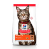 Hill's Science Plan Feline Adult Lamb 0,3 кг (604065) - зображення 1