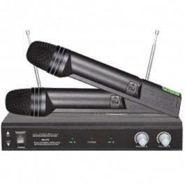 BIG Радіосистема V219