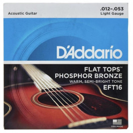 D'Addario EFT16