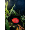 Инопланетная мастерская Глюкофон «Сатурн» HIJAZ O26 см красный - зображення 3