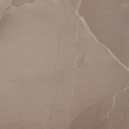   Azteca плитка Passion 60x60 lux taupe