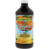 Dynamic Health Liquid Vitamin C 1000 mg 473 ml /32 servings/ Natural Citrus - зображення 3