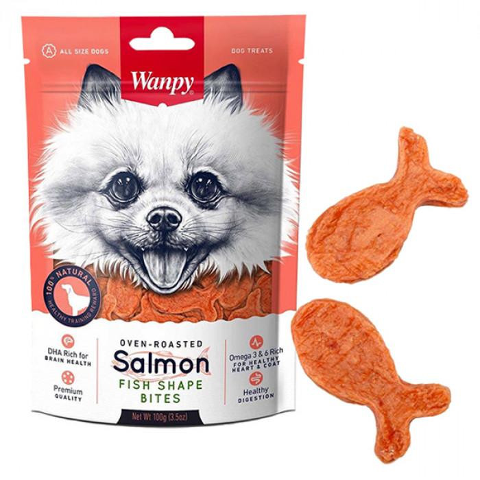 Wanpy Salmon Fish Shape Bites 100 г FA-32 - зображення 1