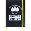Cerda Batman - Limited Edition Premium Notebook (CERDA-2100002731) - зображення 1