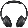 SkullCandy BT Cassette Black/Gray (S5CSW-M448) - зображення 1