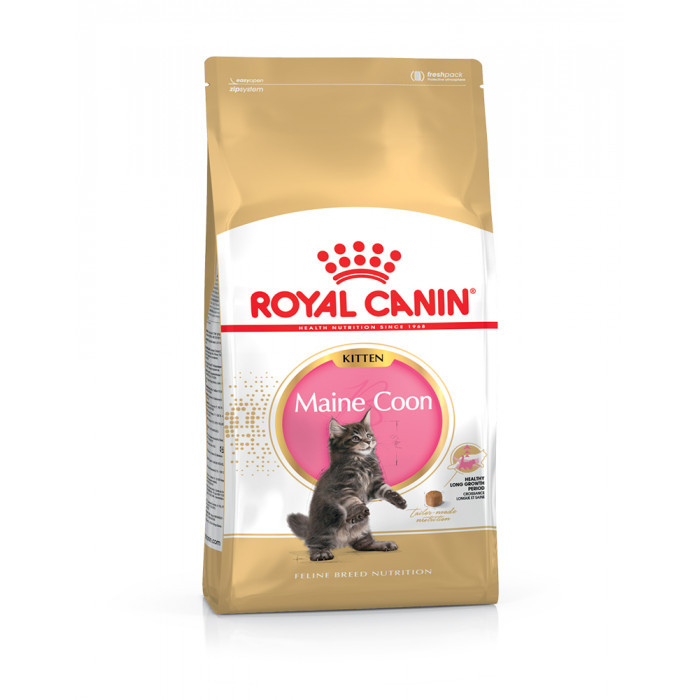 Royal Canin Maine Coon Kitten 2 кг (2558020) - зображення 1