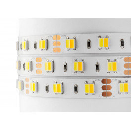 MiLight SMD5050 Dual White 60шт/м 9.6W/m IP20 12V 2700-6500K (MI-LED-DW60CCT1220)