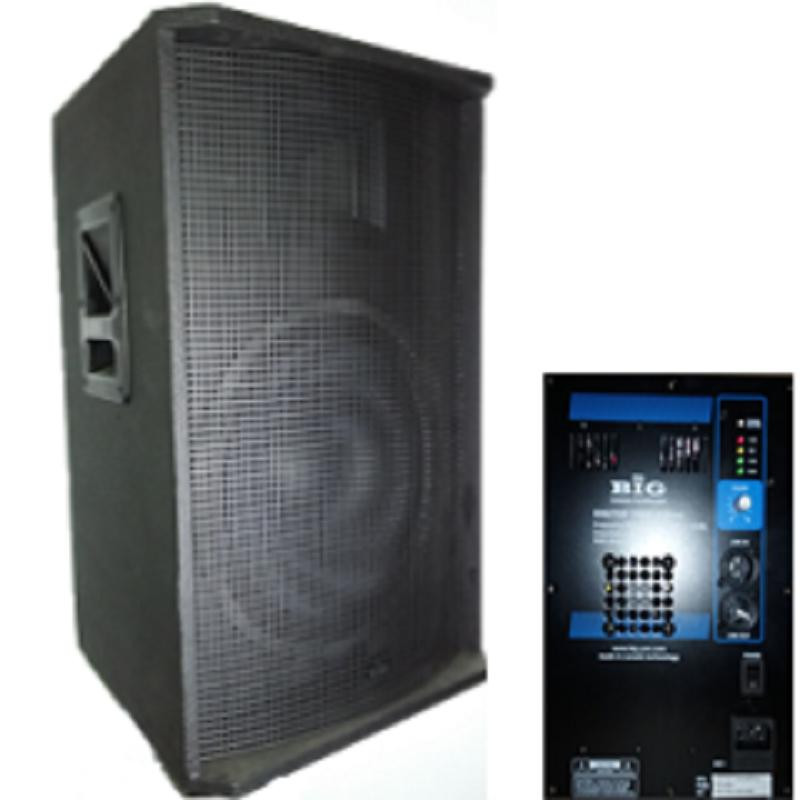 BIG DIGITAL TIREX600-MP3-BLT-EQ-FM - зображення 1