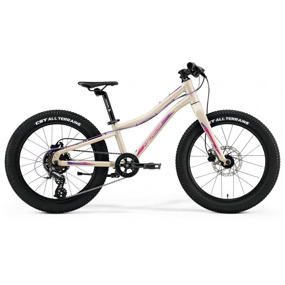 Merida Matts J.20+ 2021 / рама 10" matt light sand/berry (6110889171) - зображення 1