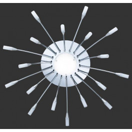   TRIO Светильник потолочный 623311806