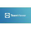 TeamViewer Upgrade from Business 12 to Corporate Subscription (TC321.12-312)