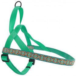 Coastal Шлея  Ribbon Weave Harness для собак темно-бірюзовий з кісточками XXS 1.6-35-40 см (55194)