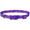 Coastal Нашийник  Pet Attire Style для собак фіолетовий 2x35-50 см (35574) - зображення 1
