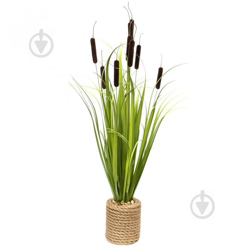 Devilon Растение искусственное Рогоз с травой в горшке 78 см коричневого цвета (5102681130375) - зображення 1