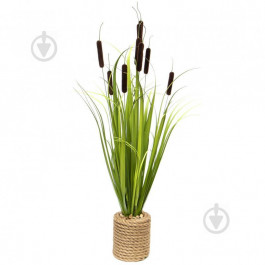 Devilon Растение искусственное Рогоз с травой в горшке 78 см коричневого цвета (5102681130375)