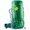 Deuter Aircontact 60+10 SL / leaf-forest (3320419-2238) - зображення 1