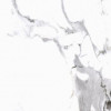 CERRAD Плитка Cerrad GRES CALACATTA WHITE POLER 59.7x59.7 - зображення 1