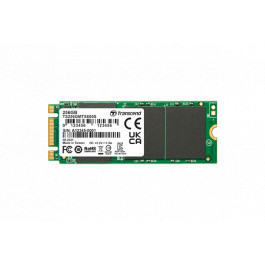 Transcend 600S 256 GB (TS256GMTS600S)
