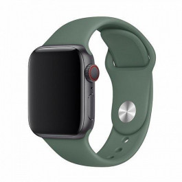 COTEetCI Силиконовый ремешок для Apple Watch 38mm (Серия 1/2/3) / 40mm (Серия 4/5/6/SE)  W3 Sport Band Dark G