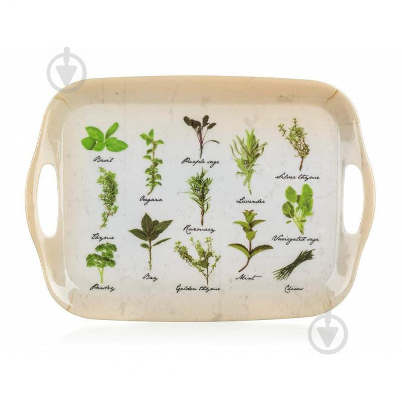 Banquet Поднос Herbs 36x25,5 см (12530514) - зображення 1