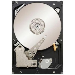   Seagate Constellation ES ST1000NM0011