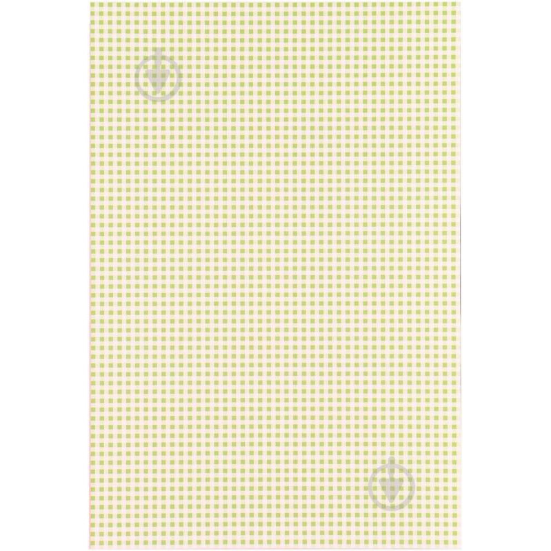 Heyda Бумага с рисунком Клетка двусторонняя светло-зеленая 21x31 см 200 г/м? - зображення 1