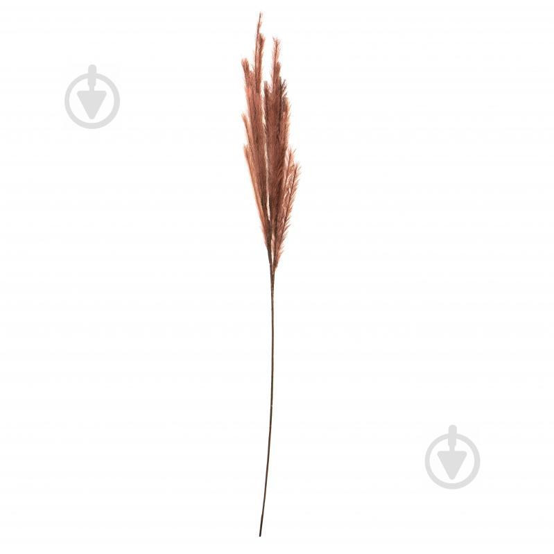 Devilon Веточка декоративная Осока 120 см коричневого цвета (5102681130429) - зображення 1