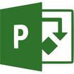 Microsoft Project Pro 2019 Win All Languages ESD (H30-05756)