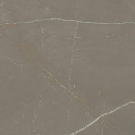   Paradyz LINEARSTONE TAUPE GRES mat 60x60