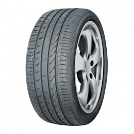   Aoteli Ecosport (245/50R20 102V)