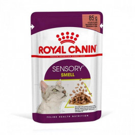 Royal Canin Sensory Smell in Gravy 85 г (1517001)