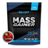 Willmax Mass Gainer 2000 g /20 servings/ Банан (wx302) - зображення 1