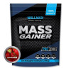 Willmax Mass Gainer 2000 g /20 servings/ - зображення 1
