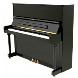 Petrof Акустическое фортепиано P125F1-0801