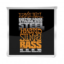 Ernie Ball P02843